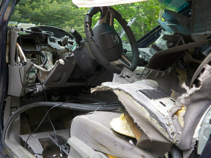 Illustration for article titled Note To Self: Don't Let Bear In Car
